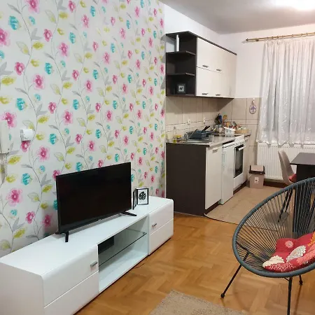 Apartment Gledovic 1 *
