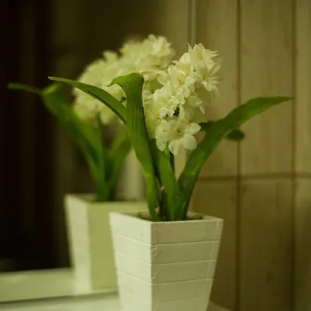 Gledovic 1 Apartamento