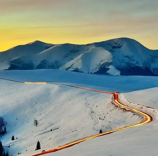 Gledovic 1 Appartement *