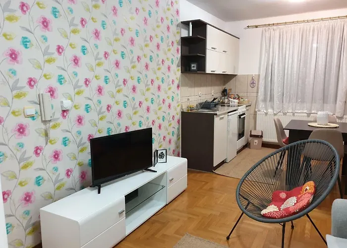 Appartement Gledovic 1 *