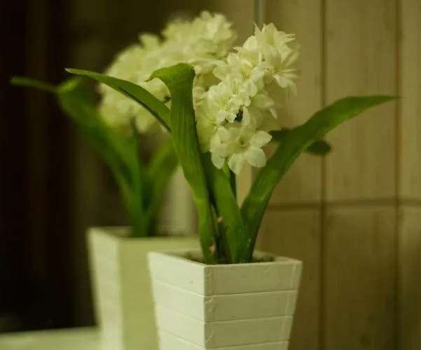 Gledovic 1 Lägenhet